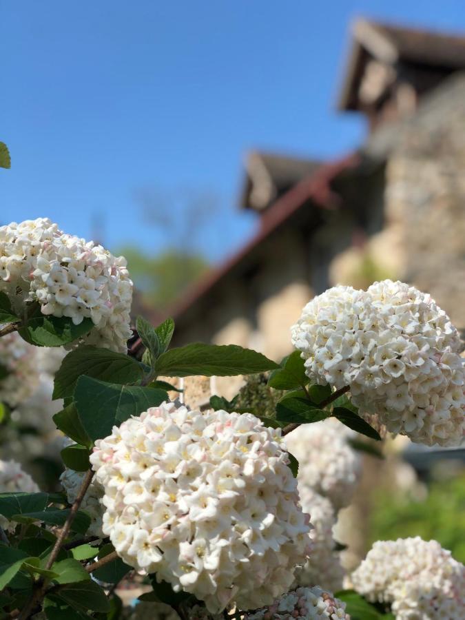 Le Clos Saint Lubin Ξενοδοχείο Nainville-les-Roches Εξωτερικό φωτογραφία